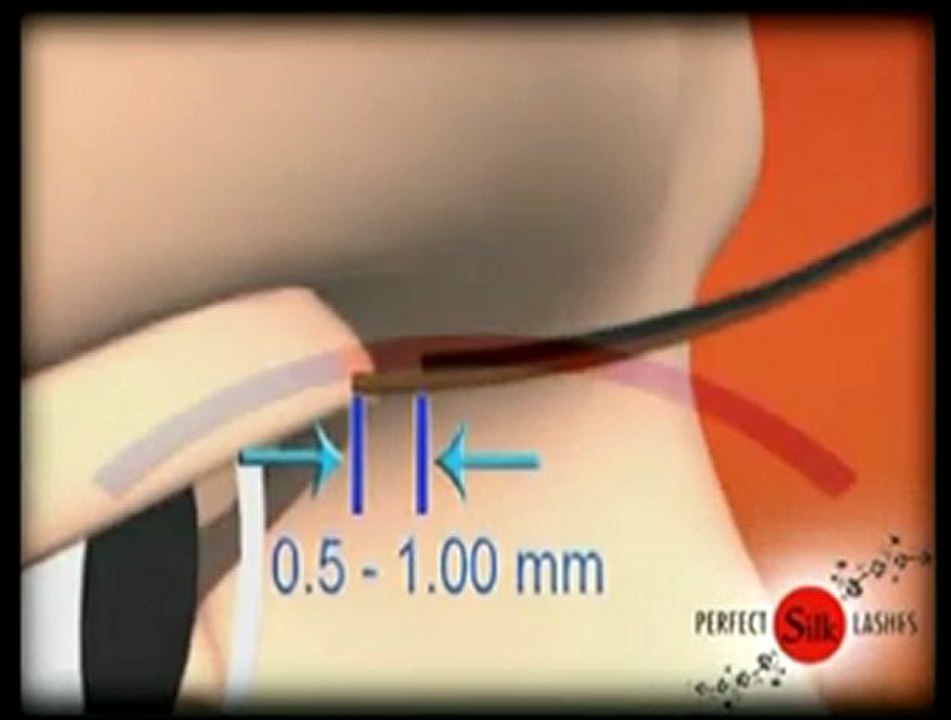 videoplayback