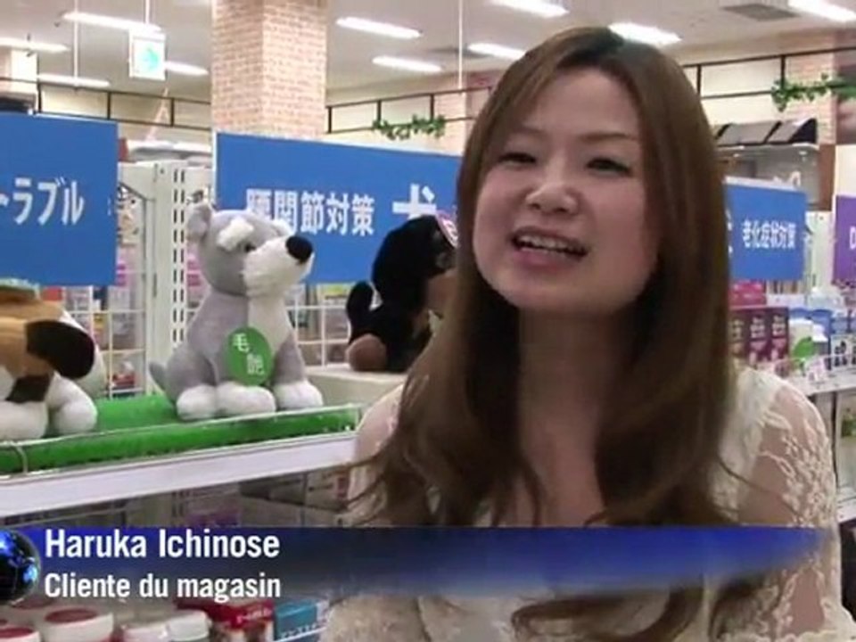 Le business des animaux familiers vieillissants au Japon