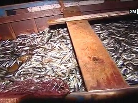 Le Maroc que j'aime : الأربعاء 15 يونيو