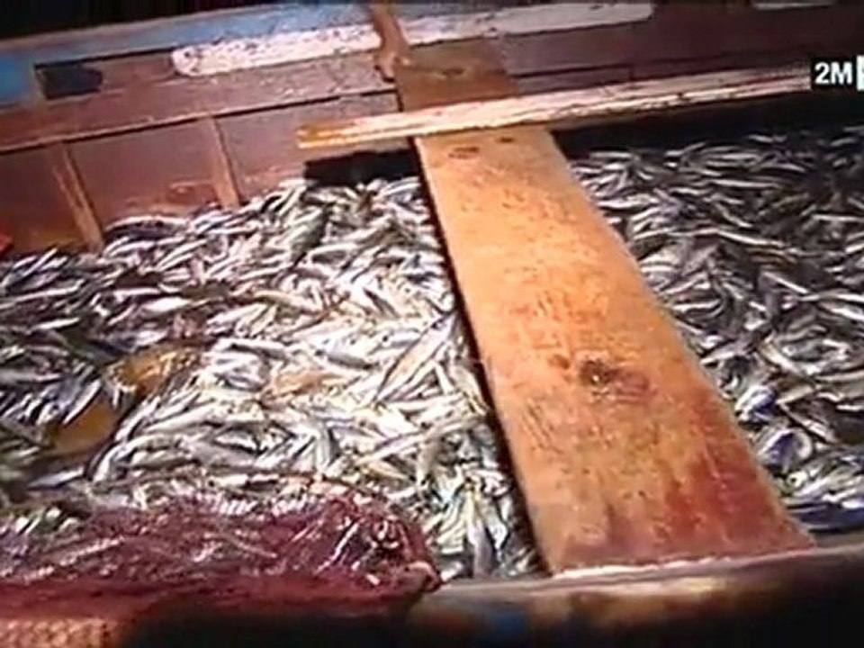 Le Maroc que j'aime : الأربعاء 15 يونيو