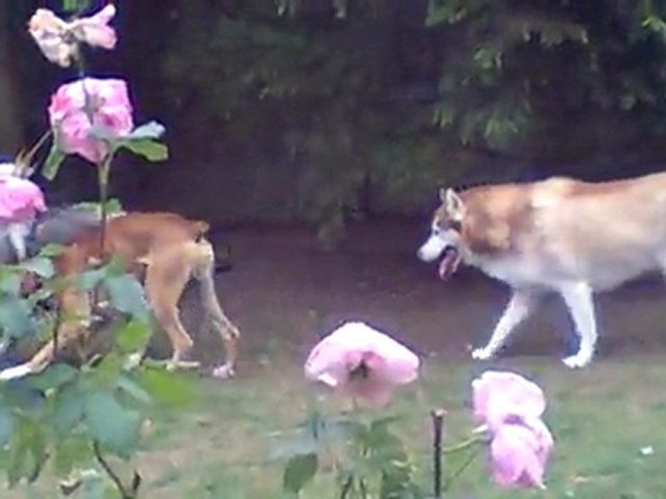 Mayo et ses copains........