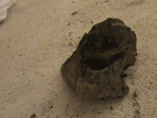 ART-PERF AU C.R.A.N.E. en BOURGOGNE 03/06/011