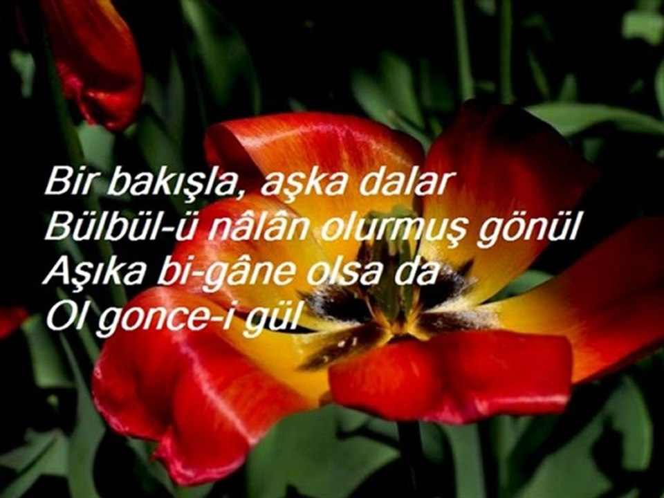 Aşk Goncası Bir Şiir-Bir Şarkı