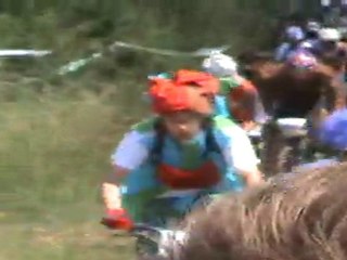 Crapauds 2011
