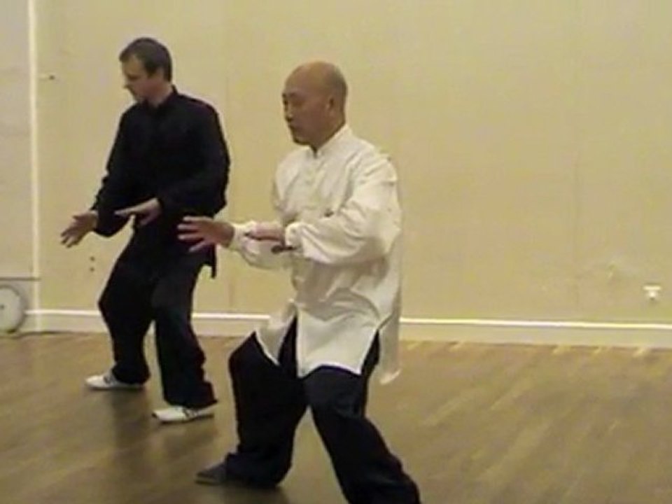 Attraper la queue de l'oiseau simple fouet enrouler la soie