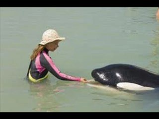 Free Willy Escape from Pirate s Cove Movie Trailers HD