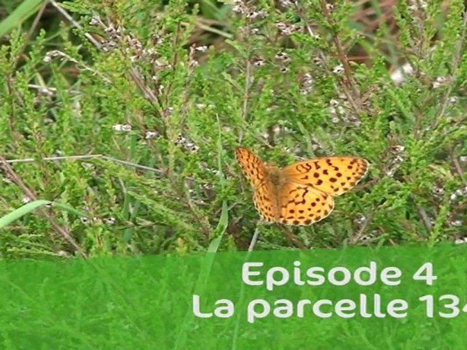 L'instant durable - Episode 4 - La parcelle 134