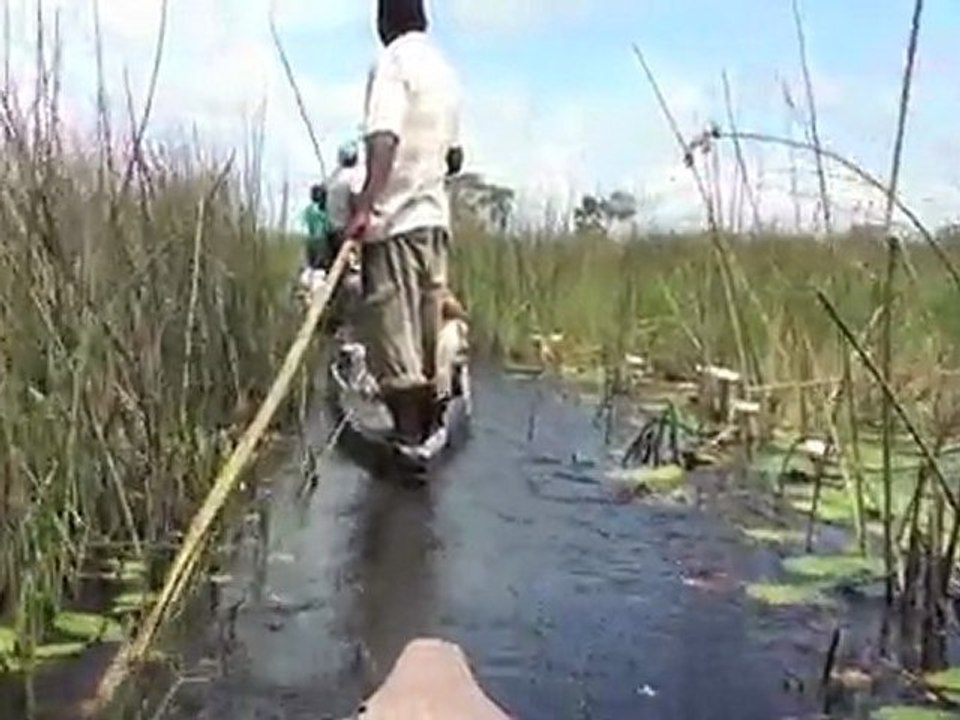 Mokoro Safari in the Okavango Delta!