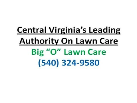 Lawn Harrisonburg VA|How To Control Moss In Lawns