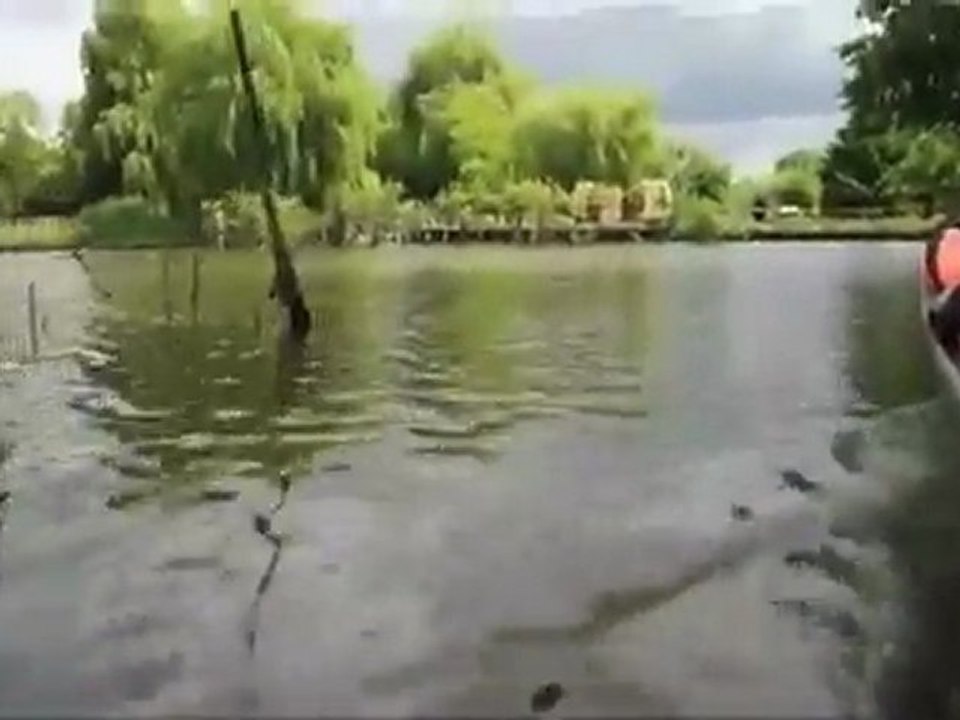 Amiens au bord de l'eau