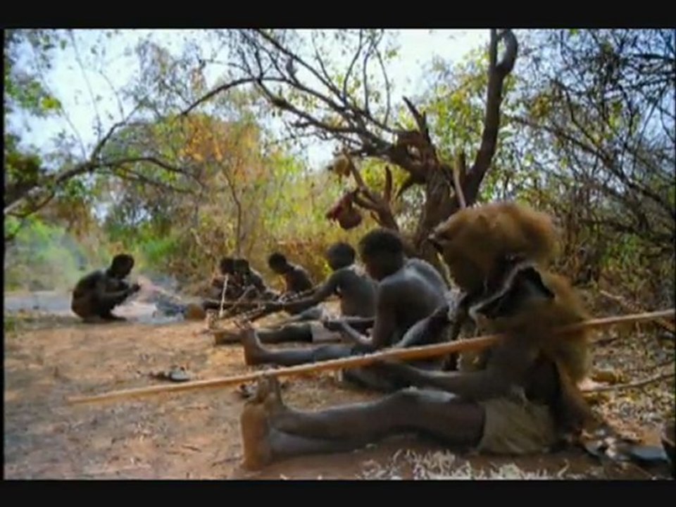 La Migration Des Animaux 3 sur 3