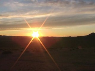 Nostalgia - es un perro de 3 patas