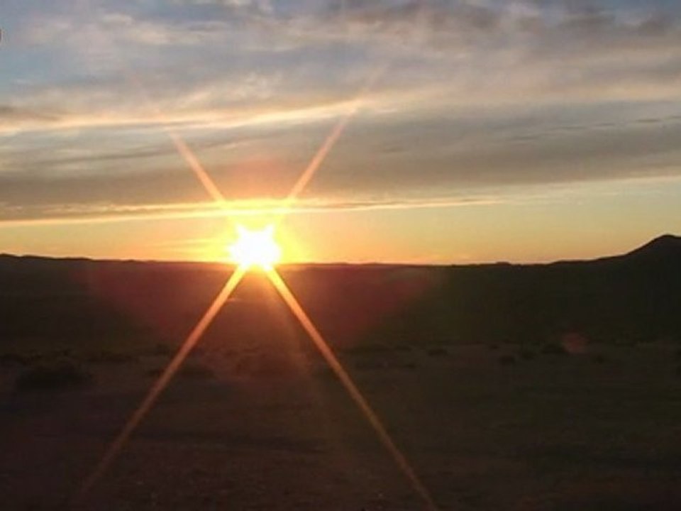 Nostalgia - es un perro de 3 patas