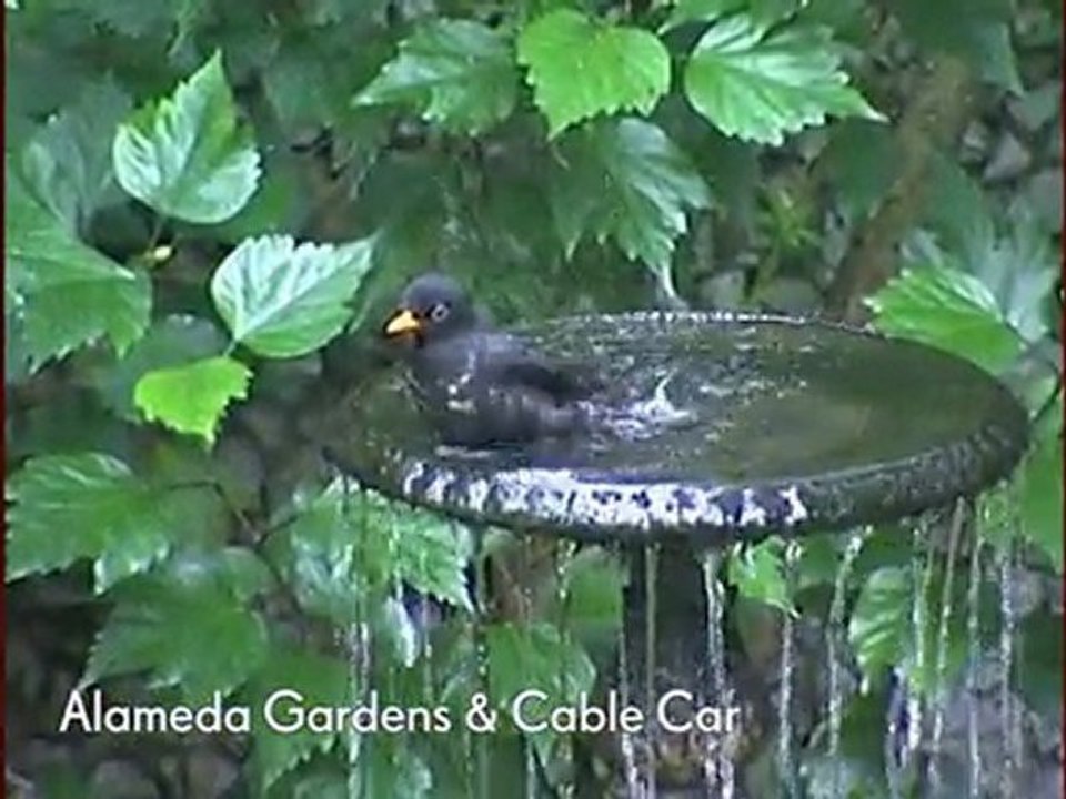 Alameda Gardens Excursion – Cunard Luxury Cruise Travel