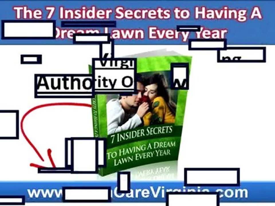 Lexington VA Lawn Care Company|Green Lawn Care