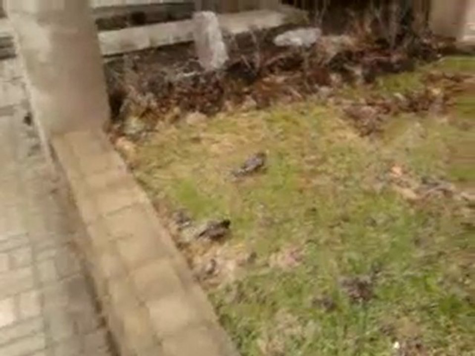 Vidéo0027