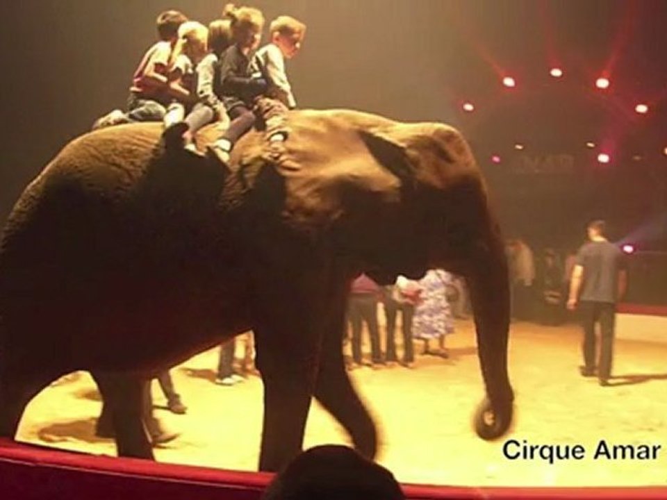 Les cirques en toute insécurité