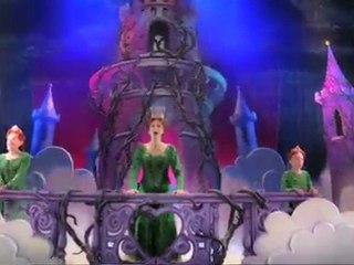 SHREK THE MUSICAL OPENING NIGHT!