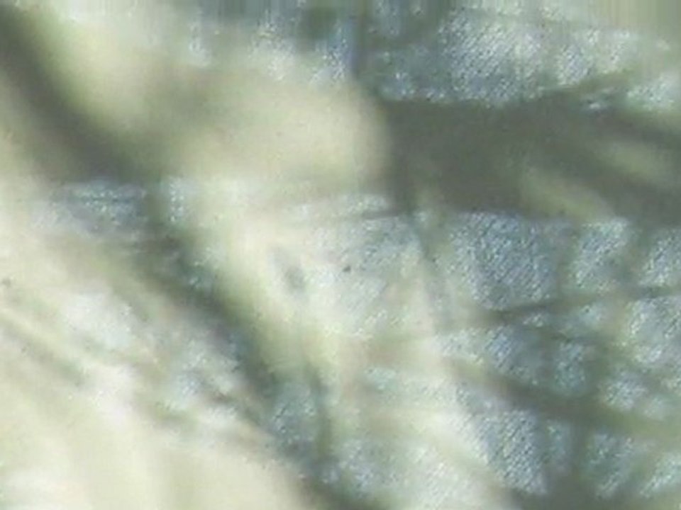 Instants d'un regard