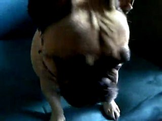 VID-20110616-00008
