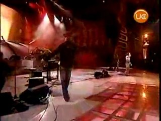 13. Aha Viña del mar chile the living daylights