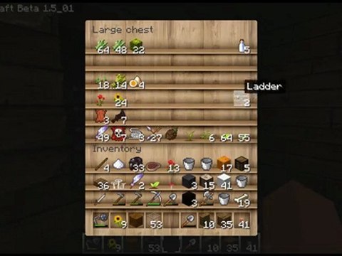 Let's Play Minecraft #239 [Deutsch] [HD] - Bring' mich durch die Nacht