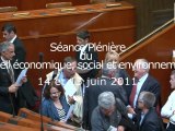 CESE - Avis Dépendance - séance des 14 et 15 juin 2011