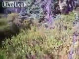 Bear Chases Guy Armed with Camera & Stick
