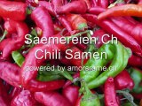 Chili Samen Ch Garten Pflanzen Bestellen Online