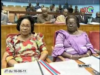 PCT : poursuite des travaux d'examen des documents du congrès