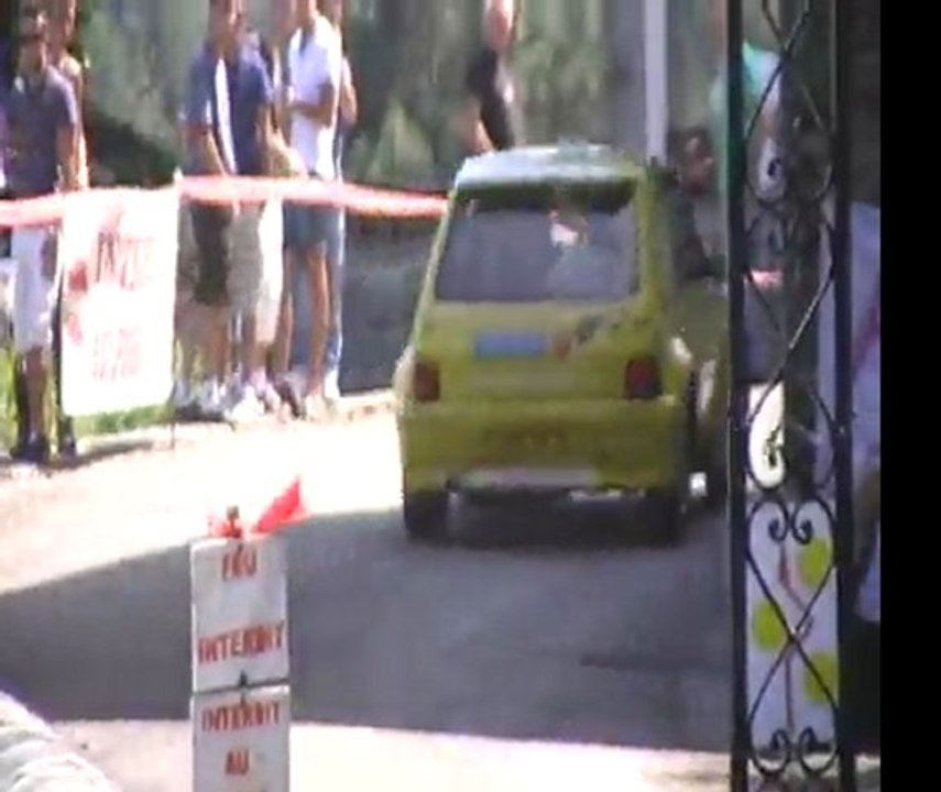 Rallye Du Pays Viganais 2011