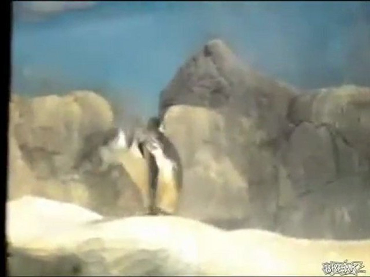 ⁣Dubstep Penguin