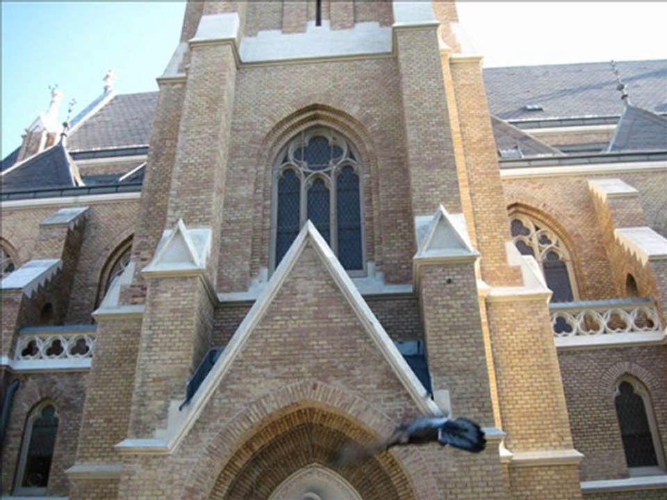 St. Maria's Church in Vienna