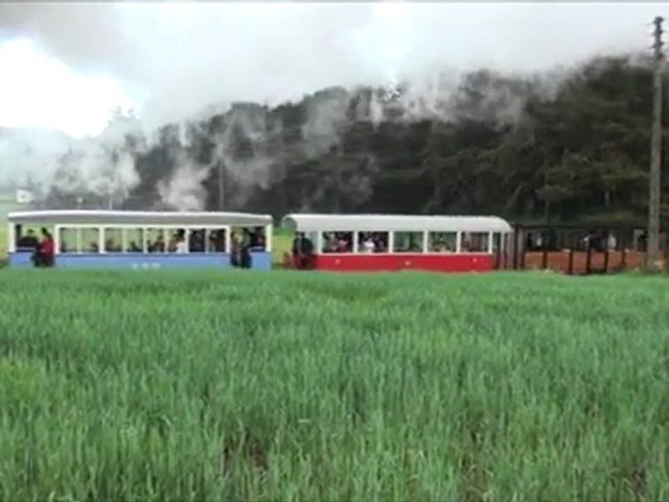 voies ferrées du velay mai 2011