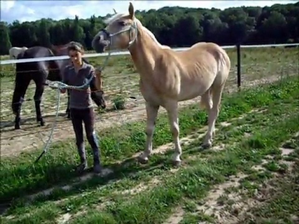 Ponette séance du 23/06
