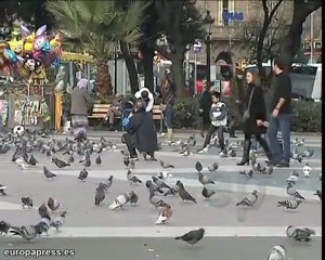 Video herunterladen: Joven muere apuñalado en el centro de Barcelona