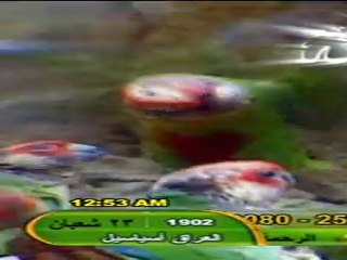 أنشودة قل لا إله إلا الله قناة الرحمة