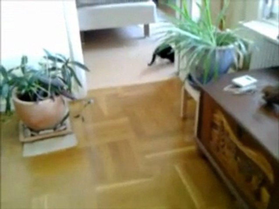 Elsa busar med musik