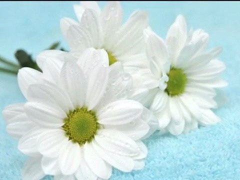 Chemische Reinigung Chemnitz, Sachs Christoph Friedel ...