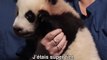 Kung Fu Panda 2 - Making-Of: Le véritable Po