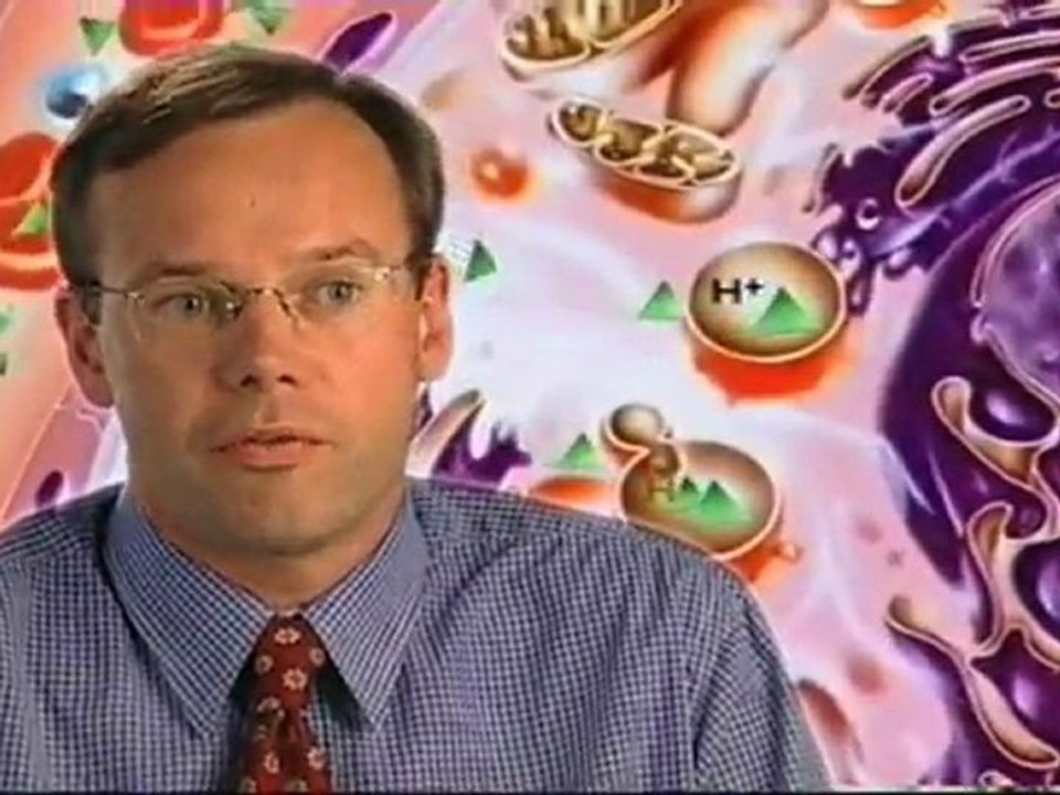 Zithromax Antibiotics drugs, Buy Zithromax cheap generic Shop Zithromax Azithromycin