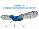 Remanta, microdrone à ailes battantes