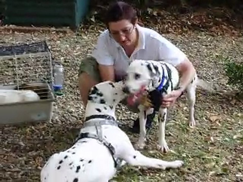FREYA ENZO et leur maman Nadine