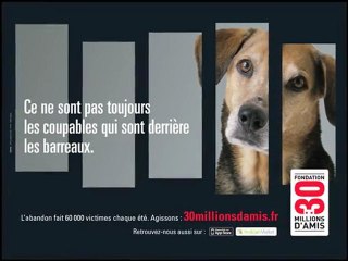 Spot radio Teddy - Campagne contre les abandons