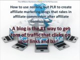 The Affiliate Marketers Blueprint To PLR Success