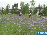 Lyon : un jardin géant sur la place Bellecour