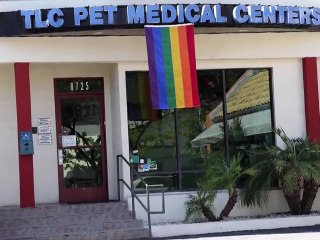 Kelly Osbourne perd son chiot