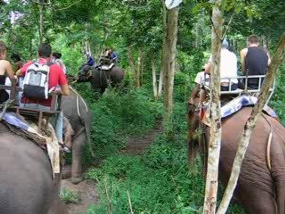 Ballade en elephants a Chiang Mai