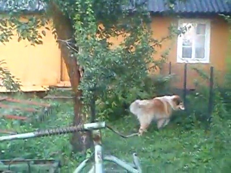 MOV00001
