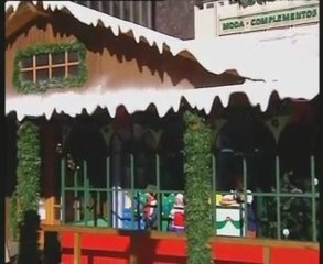 Policía y Guardia Civil refuerzan seguridad navidad